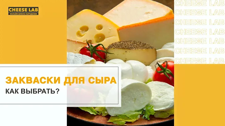 Закваска для сыра: как выбрать и где искать